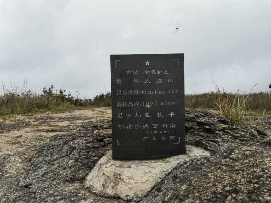 天堂山（广东省梅州市天堂山）