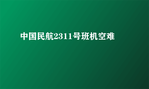 中国民航2311号班机空难