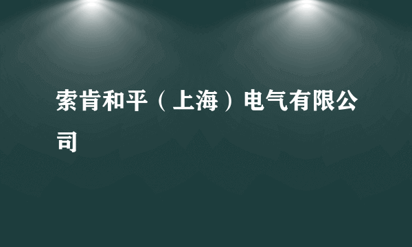 索肯和平（上海）电气有限公司