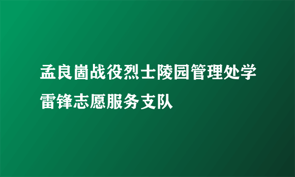 孟良崮战役烈士陵园管理处学雷锋志愿服务支队