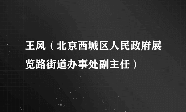 王风（北京西城区人民政府展览路街道办事处副主任）