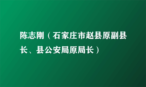 陈志刚（石家庄市赵县原副县长、县公安局原局长）