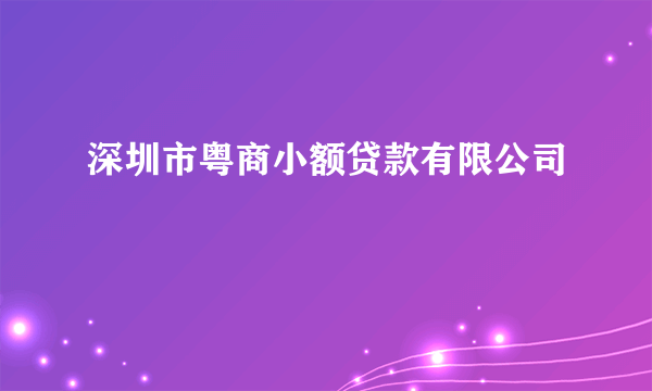 深圳市粤商小额贷款有限公司