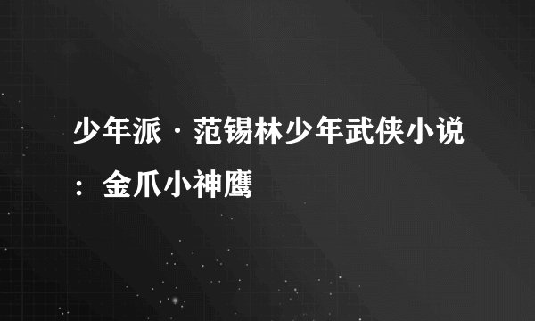 少年派·范锡林少年武侠小说：金爪小神鹰