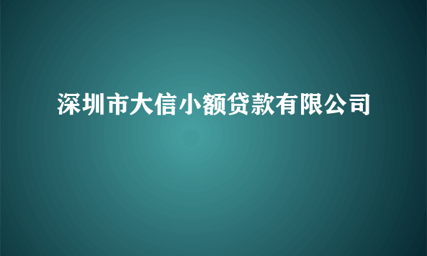 深圳市大信小额贷款有限公司