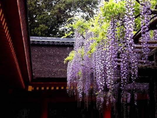 武陵风景区