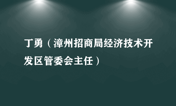 丁勇（漳州招商局经济技术开发区管委会主任）