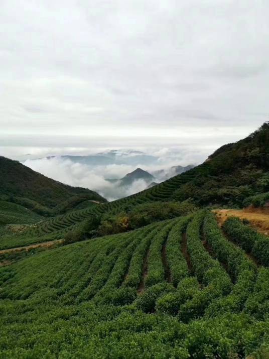 天堂山（河南省信阳市天堂山）