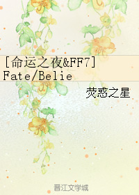 [命运之夜&FF7]Fate/Believe