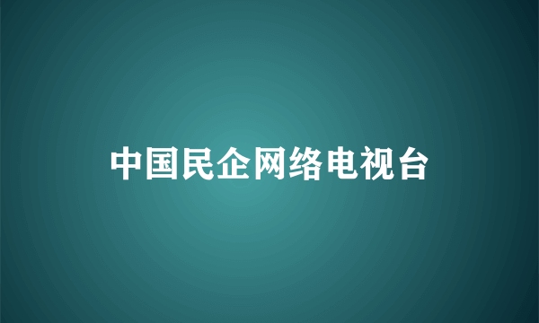 中国民企网络电视台