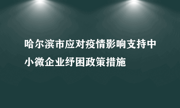 哈尔滨市应对疫情影响支持中小微企业纾困政策措施