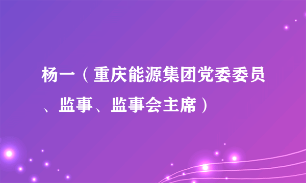 杨一（重庆能源集团党委委员、监事、监事会主席）