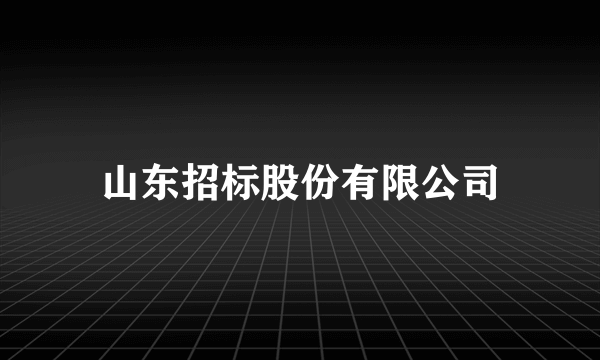 山东招标股份有限公司