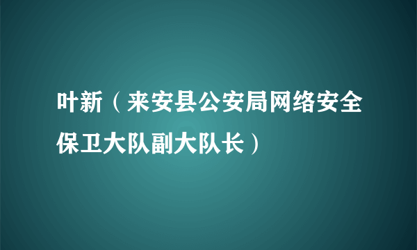 叶新（来安县公安局网络安全保卫大队副大队长）