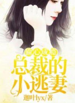 偷心成瘾：总裁的小逃妻（迦叶lyx创作的网络小说）