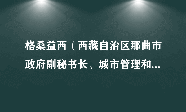 格桑益西（西藏自治区那曲市政府副秘书长、城市管理和综合执法局局长）