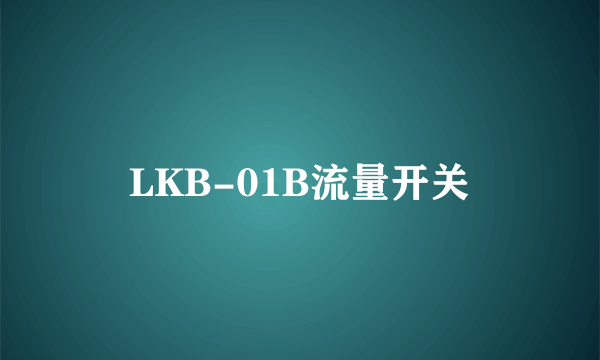 LKB-01B流量开关