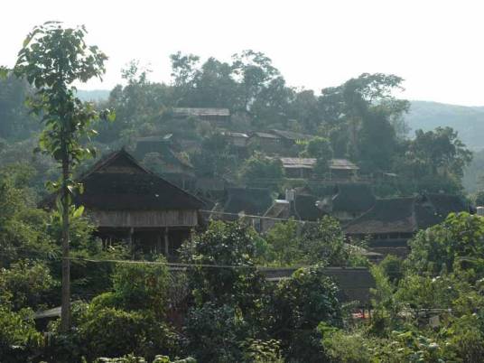 老寨村（云南省曲靖市罗平县九龙镇老寨村）