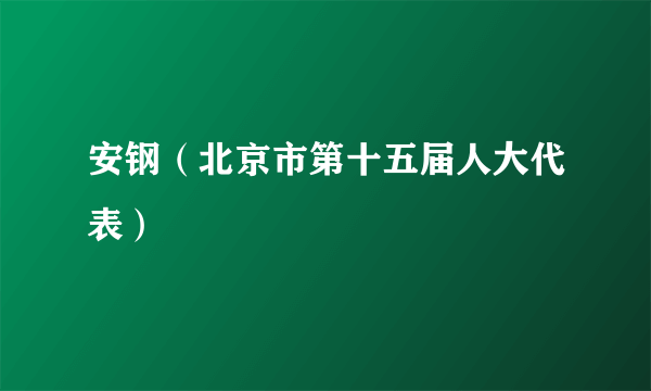 安钢（北京市第十五届人大代表）