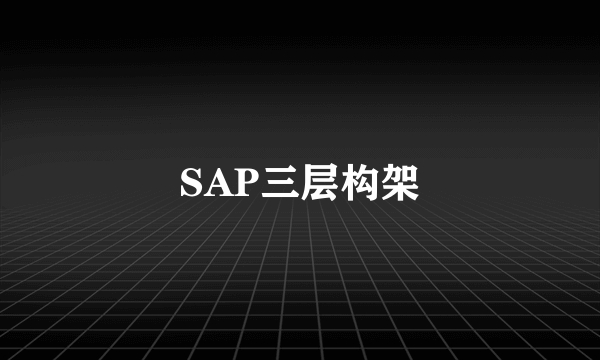 SAP三层构架