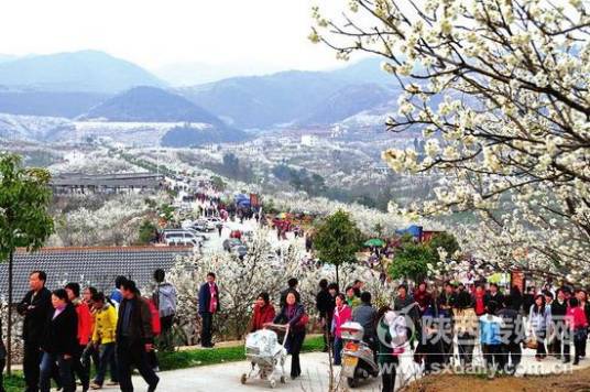 樱桃沟景区（安徽省萧县境内景区）