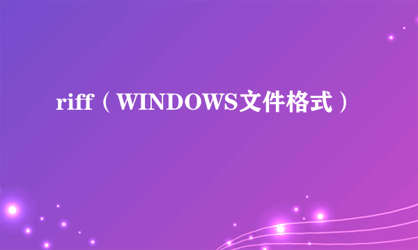 riff（WINDOWS文件格式）