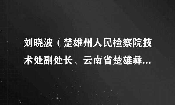 刘晓波（楚雄州人民检察院技术处副处长、云南省楚雄彝族自治州禄丰市人民检察院检察长）