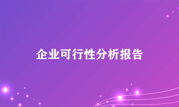 企业可行性分析报告