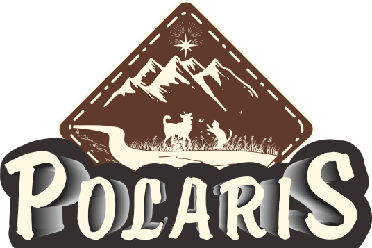 POLARIS极耀