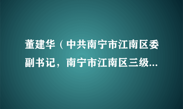 董建华（中共南宁市江南区委副书记，南宁市江南区三级调研员）