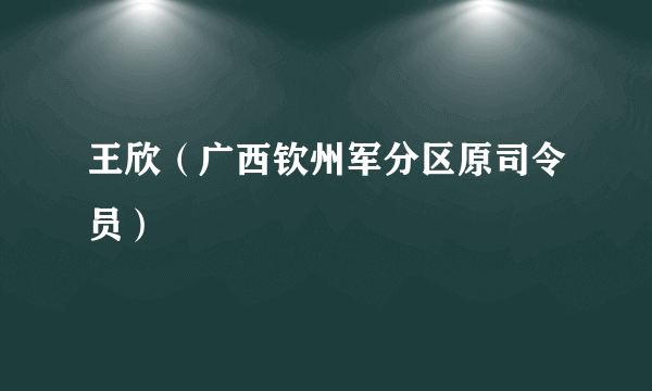 王欣（广西钦州军分区原司令员）