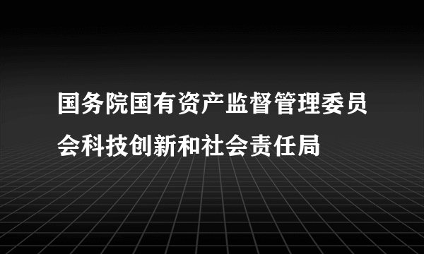 国务院国有资产监督管理委员会科技创新和社会责任局