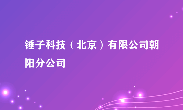 锤子科技（北京）有限公司朝阳分公司