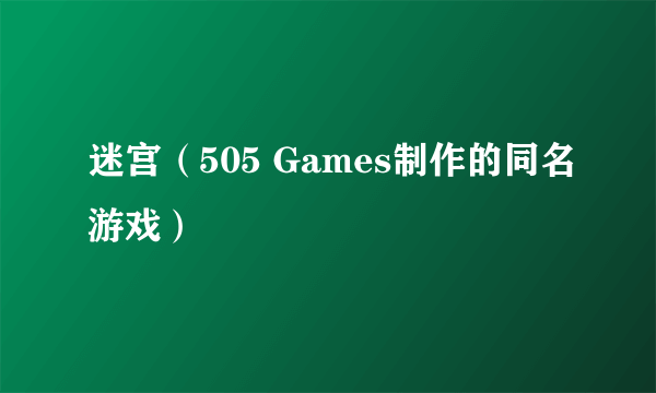 迷宫（505 Games制作的同名游戏）