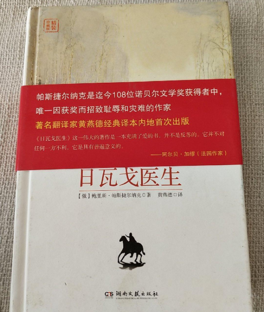 日瓦戈医生（2012年湖南文艺出版社出版的图书）