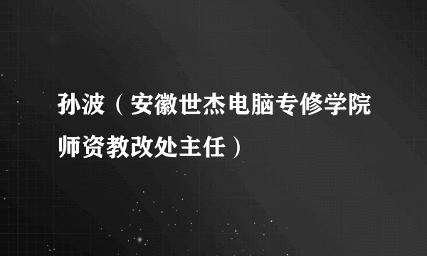 孙波（安徽世杰电脑专修学院师资教改处主任）