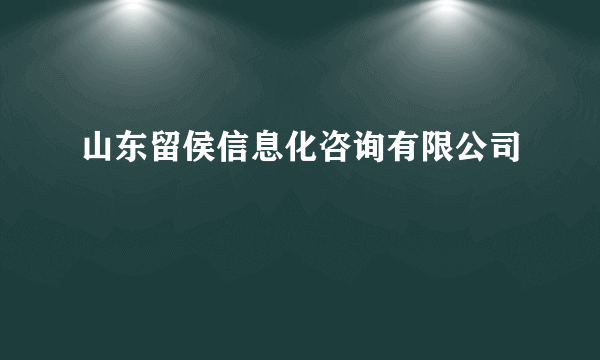 山东留侯信息化咨询有限公司