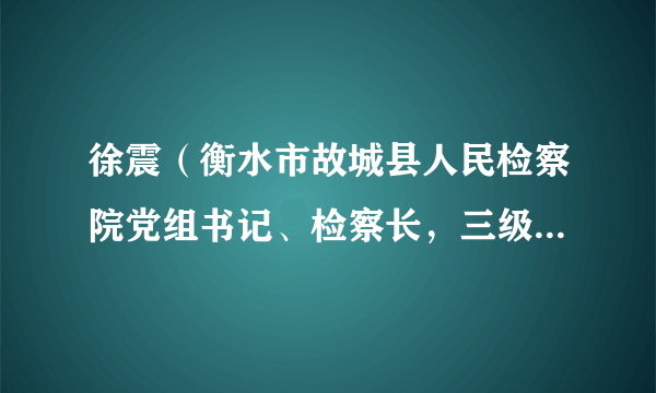 徐震（衡水市故城县人民检察院党组书记、检察长，三级高级检察官）