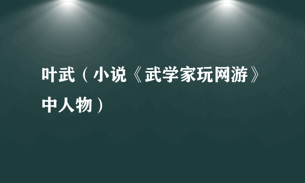 叶武（小说《武学家玩网游》中人物）