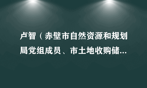 卢智（赤壁市自然资源和规划局党组成员、市土地收购储备中心主任）