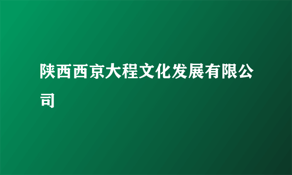 陕西西京大程文化发展有限公司