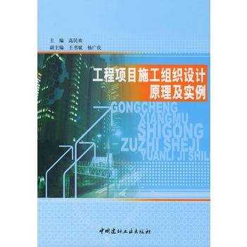 工程项目施工组织设计原理及实例