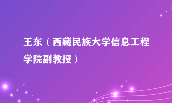 王东（西藏民族大学信息工程学院副教授）