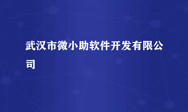 武汉市微小助软件开发有限公司