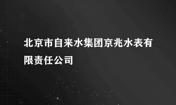 北京市自来水集团京兆水表有限责任公司