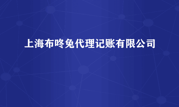 上海布咚兔代理记账有限公司