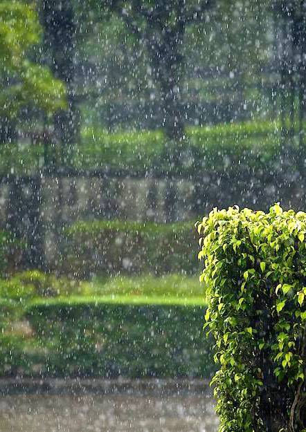 降雨（自然现象）