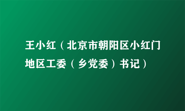 王小红（北京市朝阳区小红门地区工委（乡党委）书记）