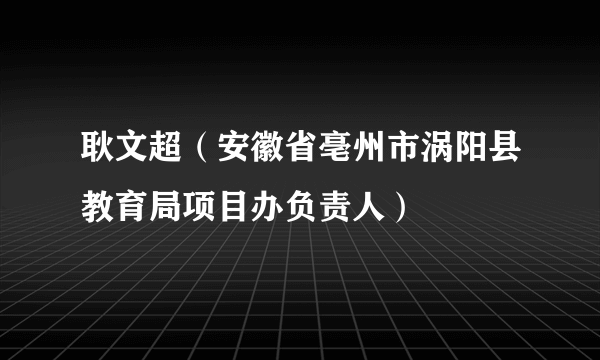 耿文超（安徽省亳州市涡阳县教育局项目办负责人）