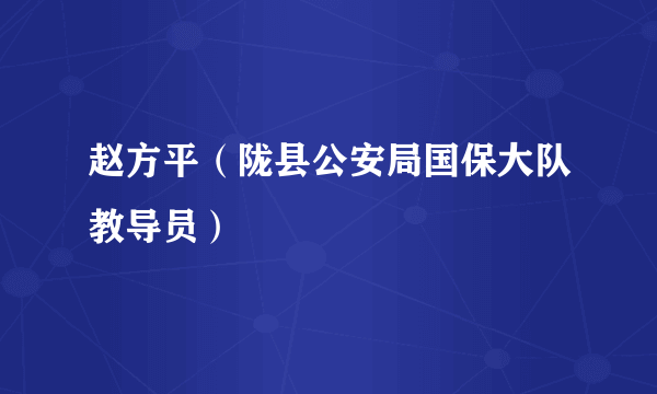 赵方平（陇县公安局国保大队教导员）